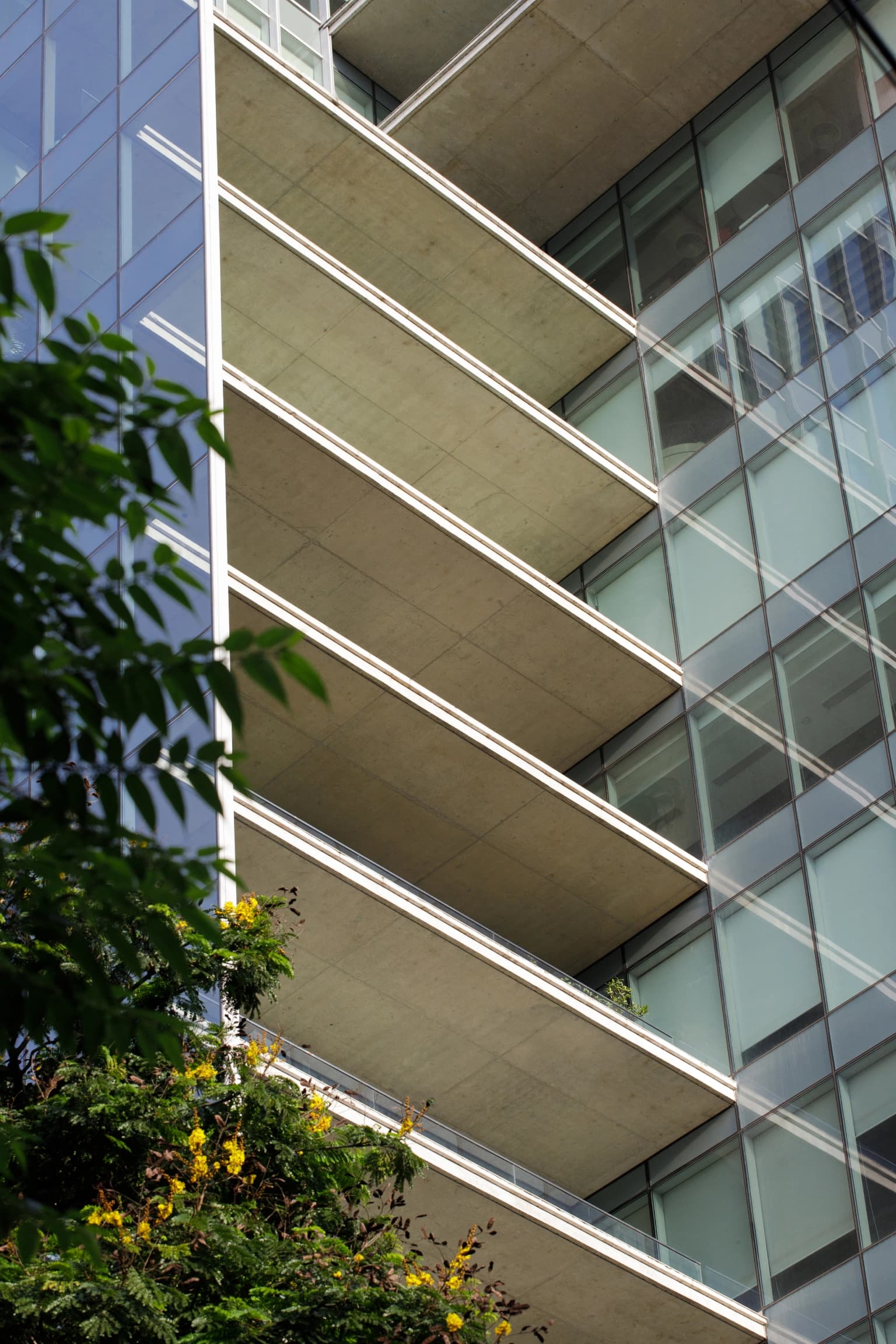 Left Image